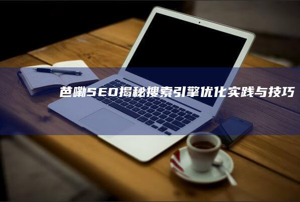 芭嘞SEO：揭秘搜索引擎优化实践与技巧